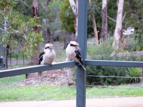 The Ripley Family Holiday Retreat - Accommodation BNB 9