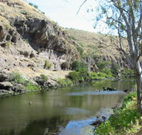 Paringa Cottage - Accommodation BNB