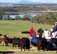 Bonny Brae - Accommodation BNB