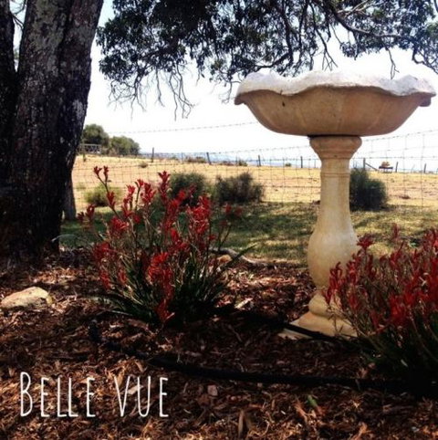 Belle Vue Studio - Accommodation BNB 1