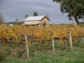 Honeysuckle Rise Country Accommodation - Accommodation BNB 0