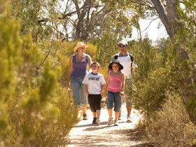 Pepper Tree Cottage - Accommodation BNB 0