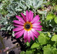Kiewa Country Cottages - Accommodation BNB