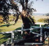 Kidogo Cottage
