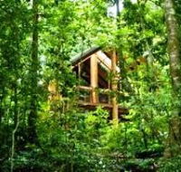 Fur'N'Feathers Rainforest Tree Houses - Accommodation BNB