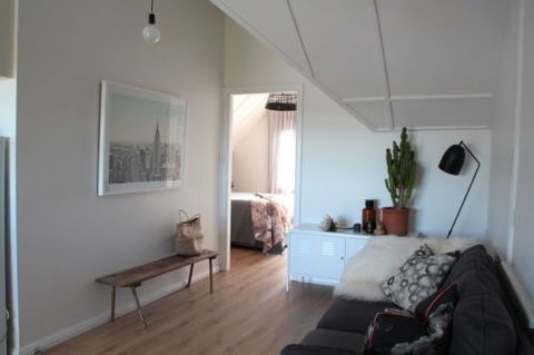 Old Schoolhouse Milton - Accommodation BNB 5