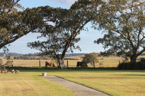 Old Schoolhouse Milton - Accommodation BNB 7