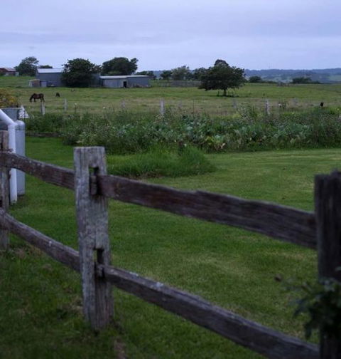 Old Schoolhouse Milton - Accommodation BNB 8
