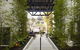 Harbour Rocks Hotel Sydney MGallery By Sofitel - thumb 23