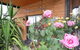 Balgownie Estate Vineyard & Spa - thumb 2