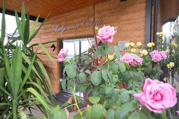 Balgownie Estate Vineyard & Spa - Accommodation BNB 2