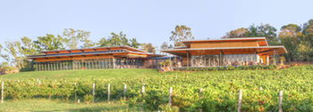Balgownie Estate Vineyard & Spa - Accommodation BNB 5