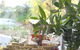 Balgownie Estate Vineyard & Spa - thumb 13