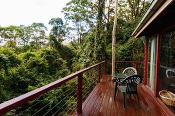 Kondalilla Eco Resort - Accommodation BNB 0
