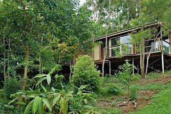 Kondalilla Eco Resort - Accommodation BNB 22
