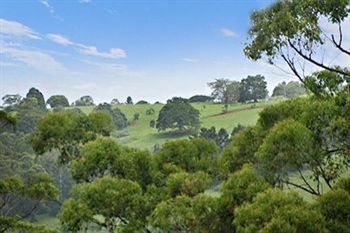 Kondalilla Eco Resort - Accommodation BNB 28