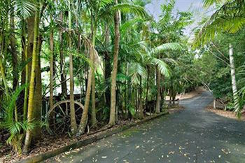 Kondalilla Eco Resort - Accommodation BNB 94