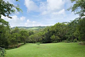 Kondalilla Eco Resort - Accommodation BNB 97
