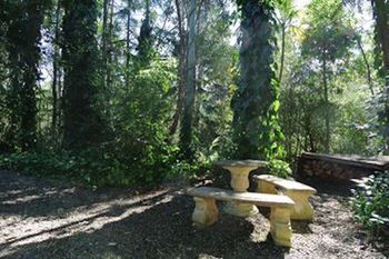 Kondalilla Eco Resort - Accommodation BNB 98