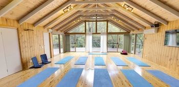 Kondalilla Eco Resort - Accommodation BNB 99