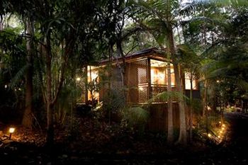 Amore On Buderim Luxury Rainforest Cabins - Accommodation BNB 10