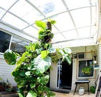 Manly Oceanside - Accommodation BNB