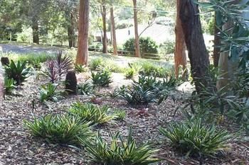 Terrigal Hinterland Bed And Breakfast - Accommodation BNB 20