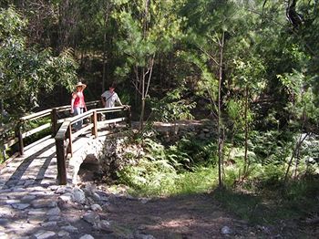 Glass House Mountains Ecolodge - Accommodation BNB 9