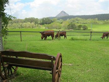 Blackwattle Farm B&B And Farm Stay - Accommodation BNB 1