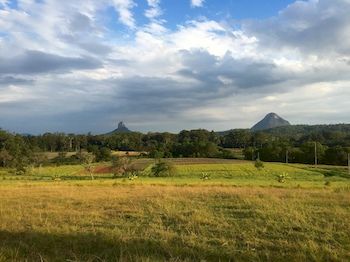 Blackwattle Farm B&B And Farm Stay - Accommodation BNB 3