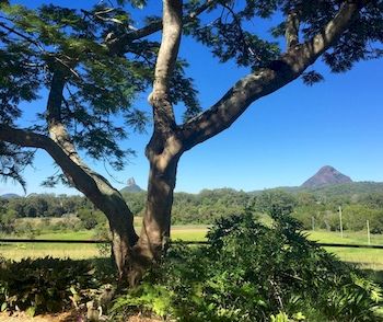 Blackwattle Farm B&B And Farm Stay - Accommodation BNB 9