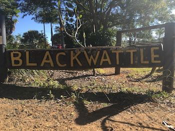 Blackwattle Farm B&B And Farm Stay - Accommodation BNB 10