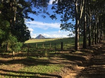 Blackwattle Farm B&B And Farm Stay - Accommodation BNB 12