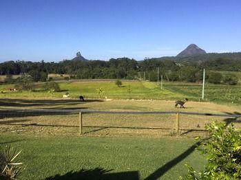 Blackwattle Farm B&B And Farm Stay - Accommodation BNB 29