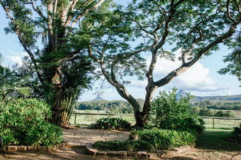 Blackwattle Farm B&B And Farm Stay - Accommodation BNB 45