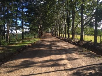 Blackwattle Farm B&B And Farm Stay - Accommodation BNB 46