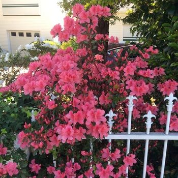 North Ryde Guest House - Accommodation BNB 31