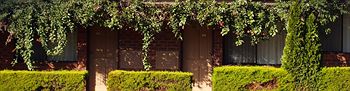 Nunawading Motor Inn - Accommodation BNB 30
