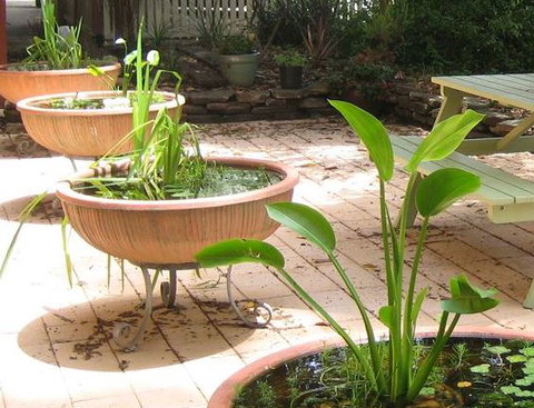 Sinclairs Of Burwood Bed And Breakfast - Accommodation BNB 4