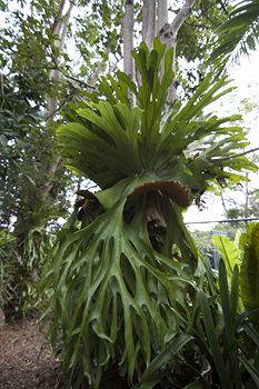 Clouds Of Montville - Accommodation BNB 5