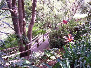The Falls Montville - Accommodation BNB 3