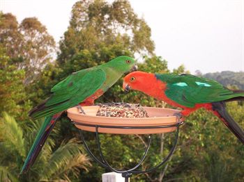The Falls Montville - Accommodation BNB 4