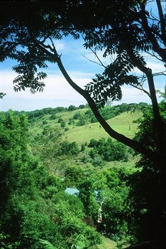 The Falls Montville - Accommodation BNB 5