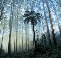 Tower Motel Marysville - Accommodation BNB