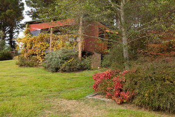 Seclusions Blue Mountains - Accommodation BNB 5