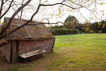 Seclusions Blue Mountains - Accommodation BNB 10