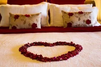 Montville Misty View Cottages - Accommodation BNB 10
