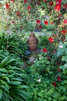 Holly Lane Mews - Accommodation BNB 37