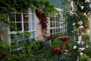 Holly Lane Mews - Accommodation BNB 46