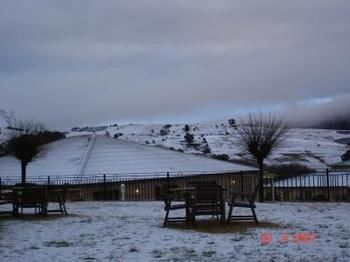 Bowen Inn Motel - Accommodation BNB 0